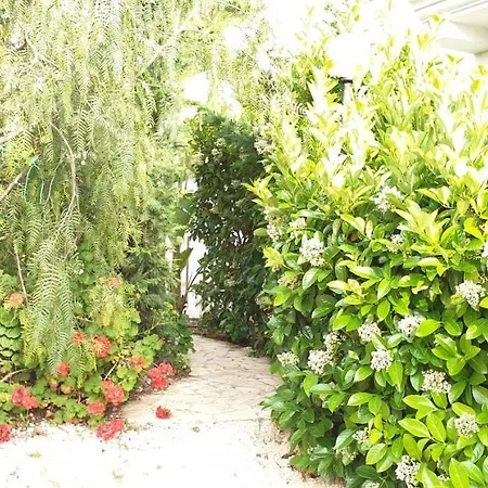I Gerani Apartment Vieste