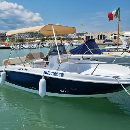 I Gerani 维耶斯泰